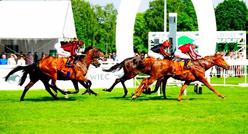 1 lipca Grand Derby na Torze Wyścigów Konnych