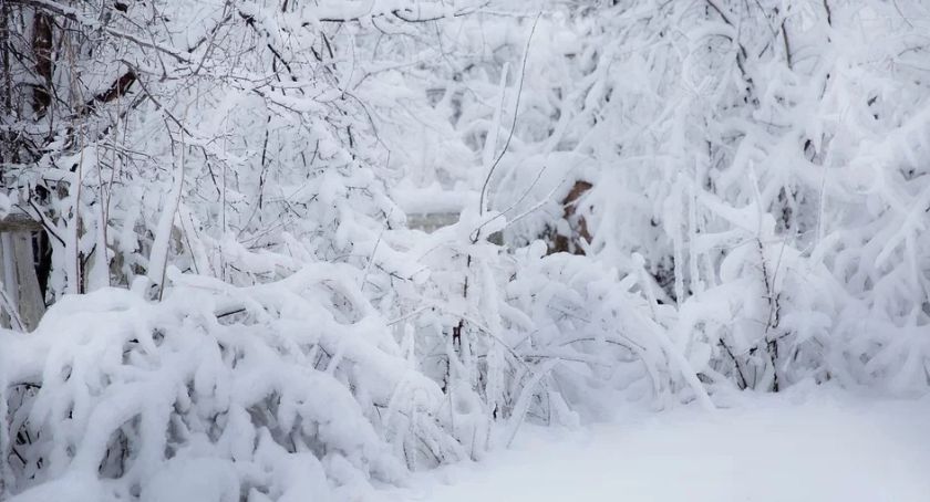 Zima w Mieście na Ursynowie – zapisy od 14.01