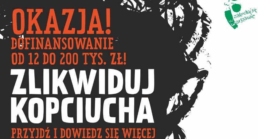 Zlikwiduj kopciucha - spotkanie informacyjne już 5 lutego