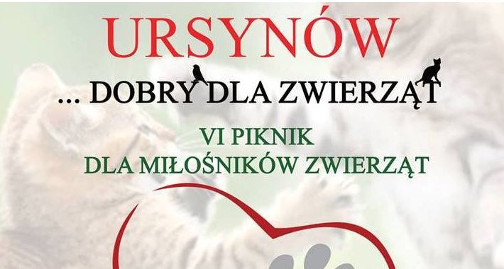 Piknik dla miłośników zwierząt
