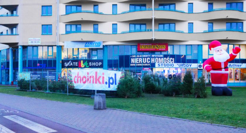 Gdzie i za ile kupimy choinkę? Informacja dla spóźnialskich
