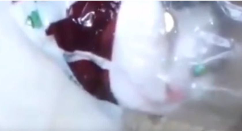 Policja szuka autora brutalnego nagrania. Wiadomo jedynie, że to dziecko