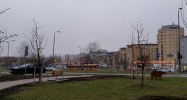Zielona Oś Ursynowa – nowy park [ZDJĘCIA]