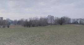 Oburzeni mieszkańcy protestują. Ich Psia Górka ma zmienić się w park