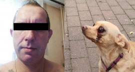 Poszukiwania zwyrodnialca! Skatował pieska przy ul. Koncertowej 9 [BRUTALNE ZDJĘCIA]