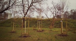 Nowa zieleń za prawie 400 200,00 zł! M.in. na ul. Dereniowej [ZDJĘCIA]
