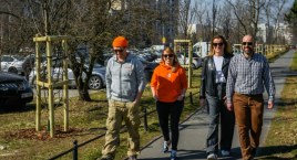 Chore topole zastąpione nowymi drzewami na ul. Stryjeńskich [ZDJĘCIA]
