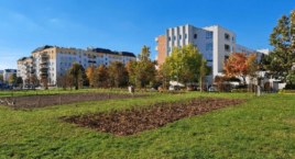 Zielone skwery na Ursynowie: jak prace wykonano w 2022?