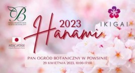 Festiwal Hanami 2023: sztuka, warsztaty i stoiska