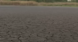 Najstarsze jezioro Warszawy znika z mapy. Jezioro Im…