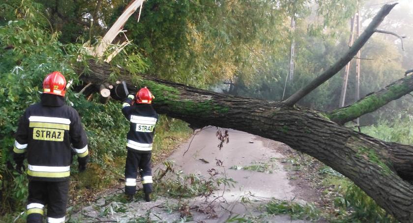 Wielkie drzewo zablokowało ul. Panoramy. Zdjęcia z akcji strażaków