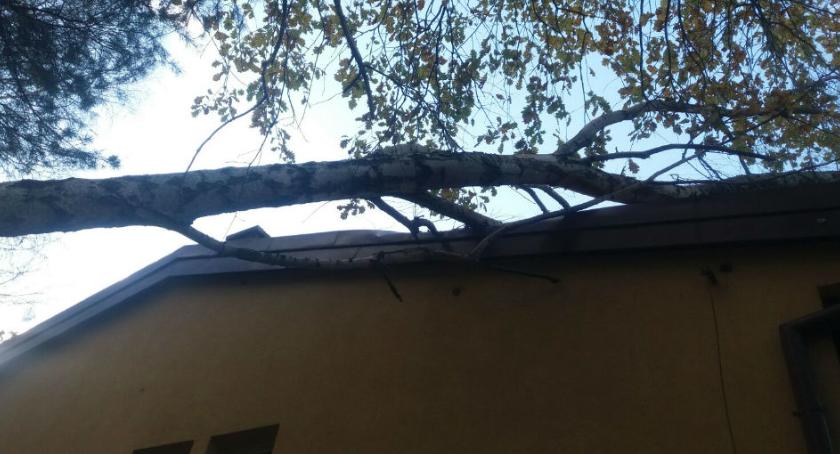 Orkan Grzegorz nie oszczędził Wawra. Drzewo powalone na budynek [ZDJĘCIA straży]