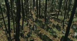 Wawer. Cmentarz żydowski — prace porządkowe