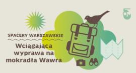 Wciągająca wyprawa na mokradła Wawra
