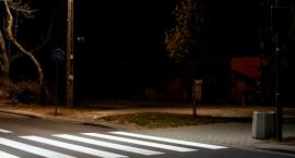 Tymczasowy mieszkaniec Wawra znalazł schronienie w Centrum CITES na terenie Warszawskiego ZOO