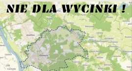 Wielka wycinka w cieniu urzędowych procedur? Otwoccz&hellip;