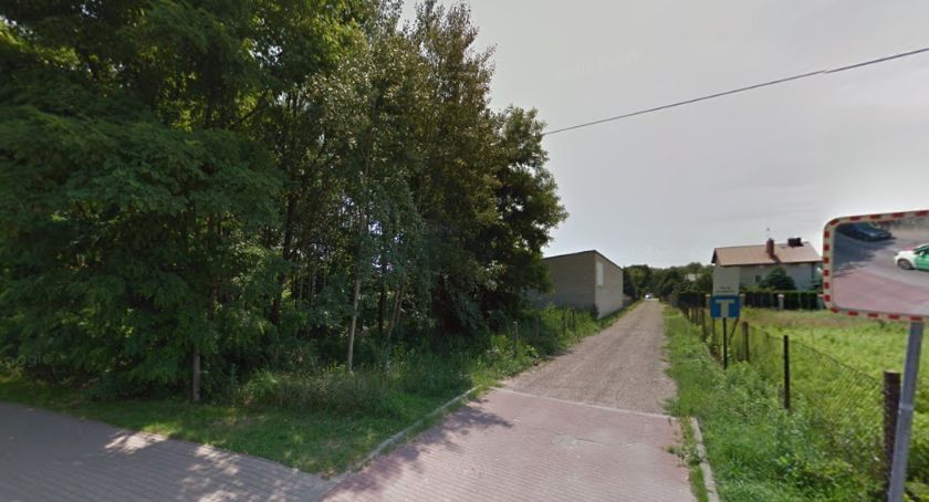 Dzikie zwierzęta w Starej Miłosnej