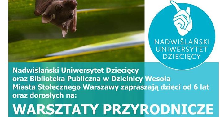 Warsztaty Rodzinne- poczuj się, jak nietoperz