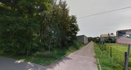 Dzikie zwierzęta w Starej Miłosnej