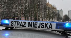 Straż Miejska wspiera działania związane z zapobieganiem, przeciwdziałaniem i zwalczaniem COVID-19