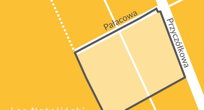 Co z planem dla rejonu ul. Pałacowej? 