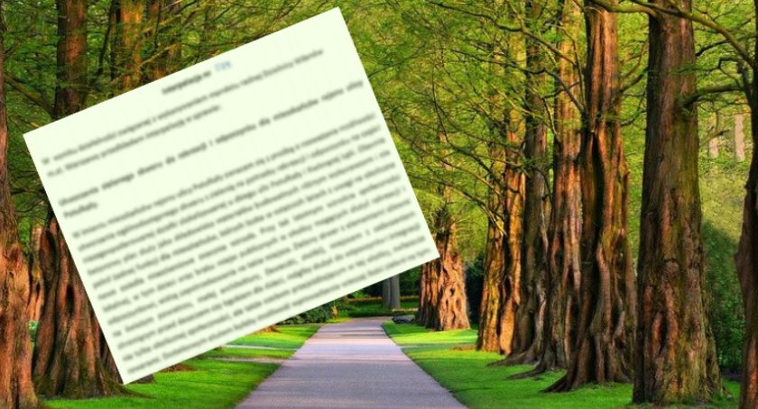 Powstanie nowy skwer u zbiegu ul. Potułkały i Kwitnącej Łąki? 