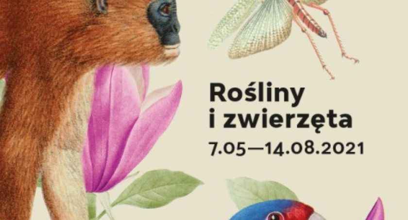 Rośliny i zwierzęta - Muzeum Pałacu Króla Jana III 