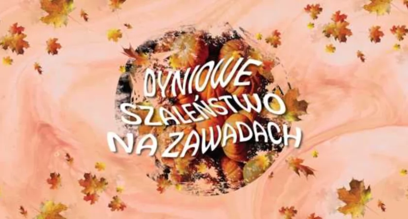 Dyniowe Szaleństwo na Zawadach. Jesienna przygoda i szalone atrakcje! 