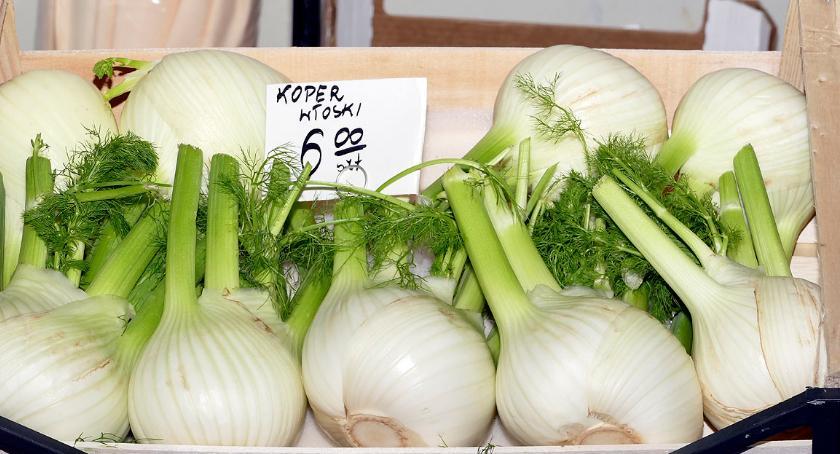 Fenkuł czyli włoski koper