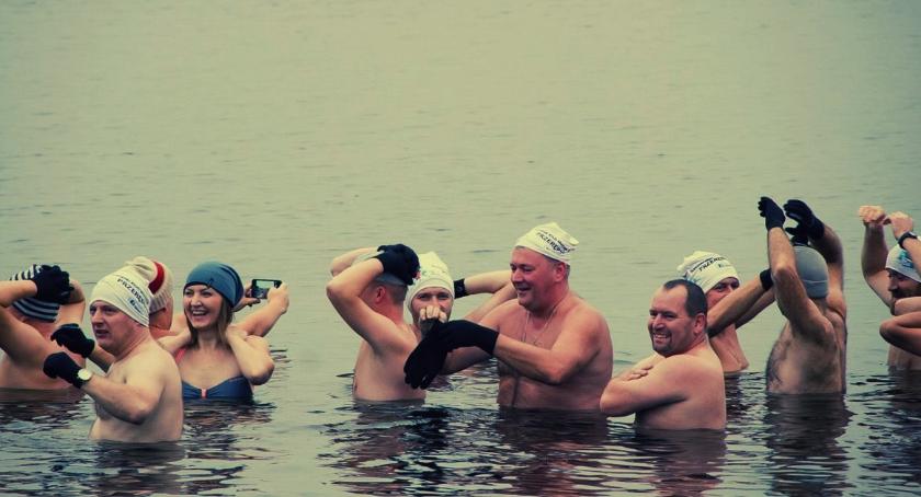 Morsy na plaży na Zawadach w Wilanowie 