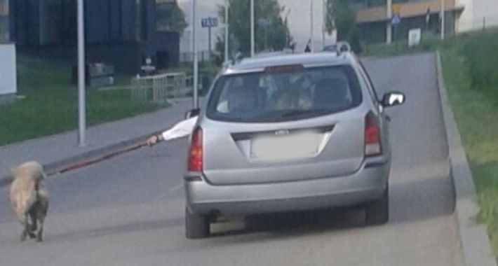 Pies na smyczy, właściciel w samochodzie 