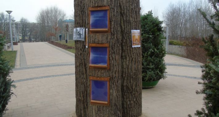 W Wilanowie będzie pierwsza biblioteka plenerowa