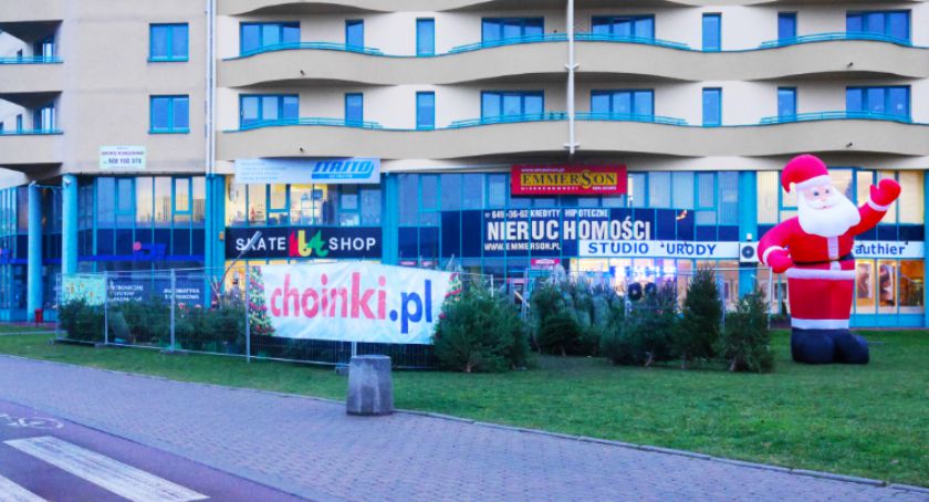 Gdzie i za ile kupimy choinkę? Informacja dla spóźnialskich