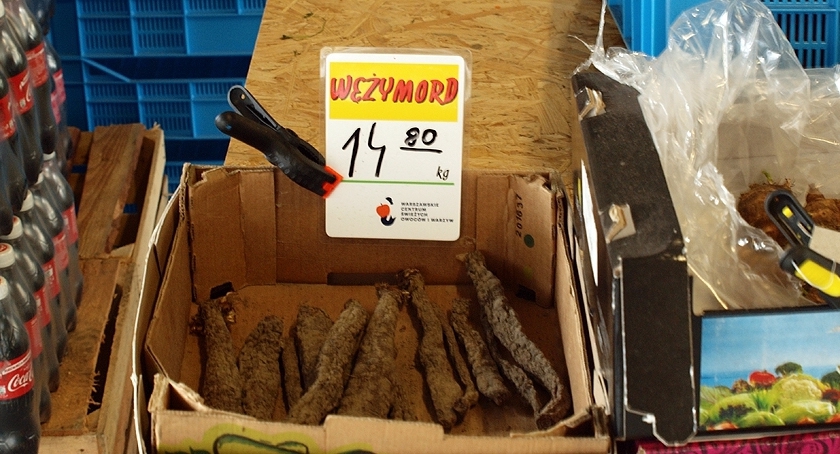Wężymord czy czarny korzeń?