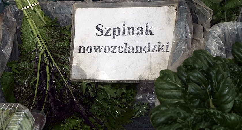 Trętwian czterorożny