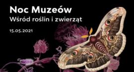 Noc Muzeów w Muzeum Pałacu Króla Jana III w Wilanowie