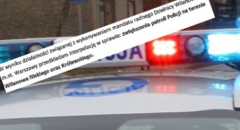 Policja częściej musi odwiedzać Wilanów Niski i Wilanów Królewski?