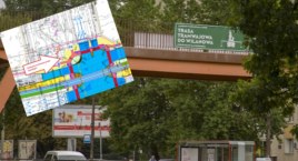 W związku z budową tramwaju do Wilanowa planowane są wycinki. Ratujmy drzewa [PETYCJA]