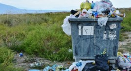 Wszystkie śmieci nasze są - 29. Akcja Sprzątania świata