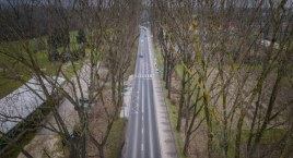 Wymiana zadrzewienia przy ul. Vogla [ZDJECIA]