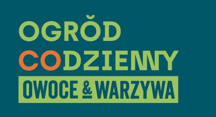 Ogród Codzienny przy Wola Parku. Zielona oaza wśród miejskiego zgiełku