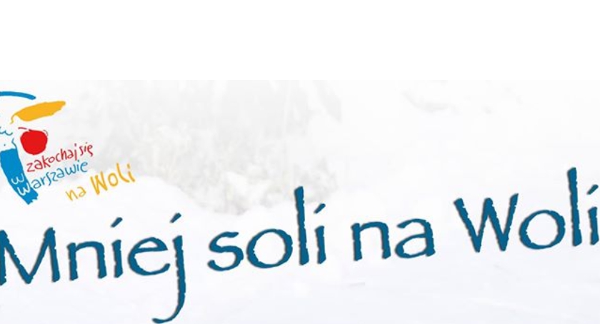 Będzie mniej soli na wolskich ulicach. 