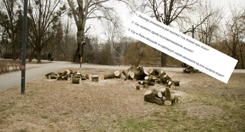 Kolejna wycinka w Parku Moczydło, a urzędnicy milczą [ZDJĘCIA]