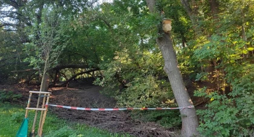 Groźni lokatorzy w parku Powstańców przy ul. Wolskiej