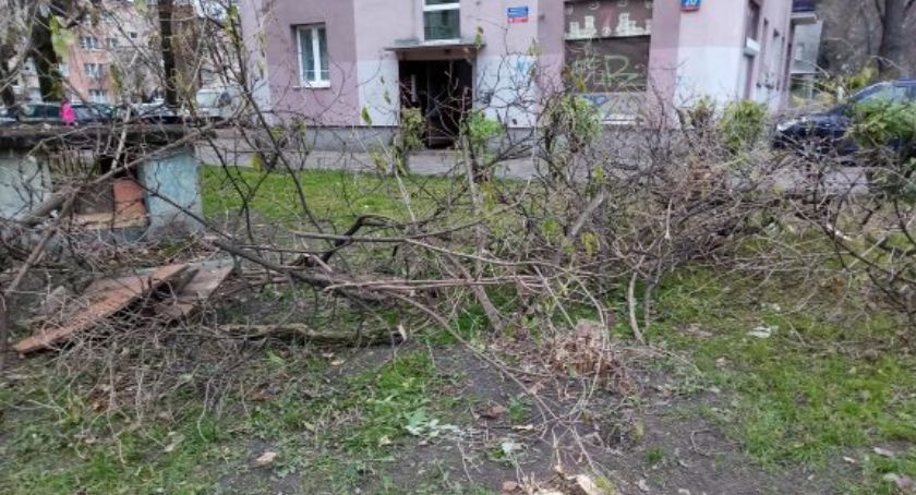Ścięte i połamane drzewa na ul. Długosza [ZDJĘCIA]