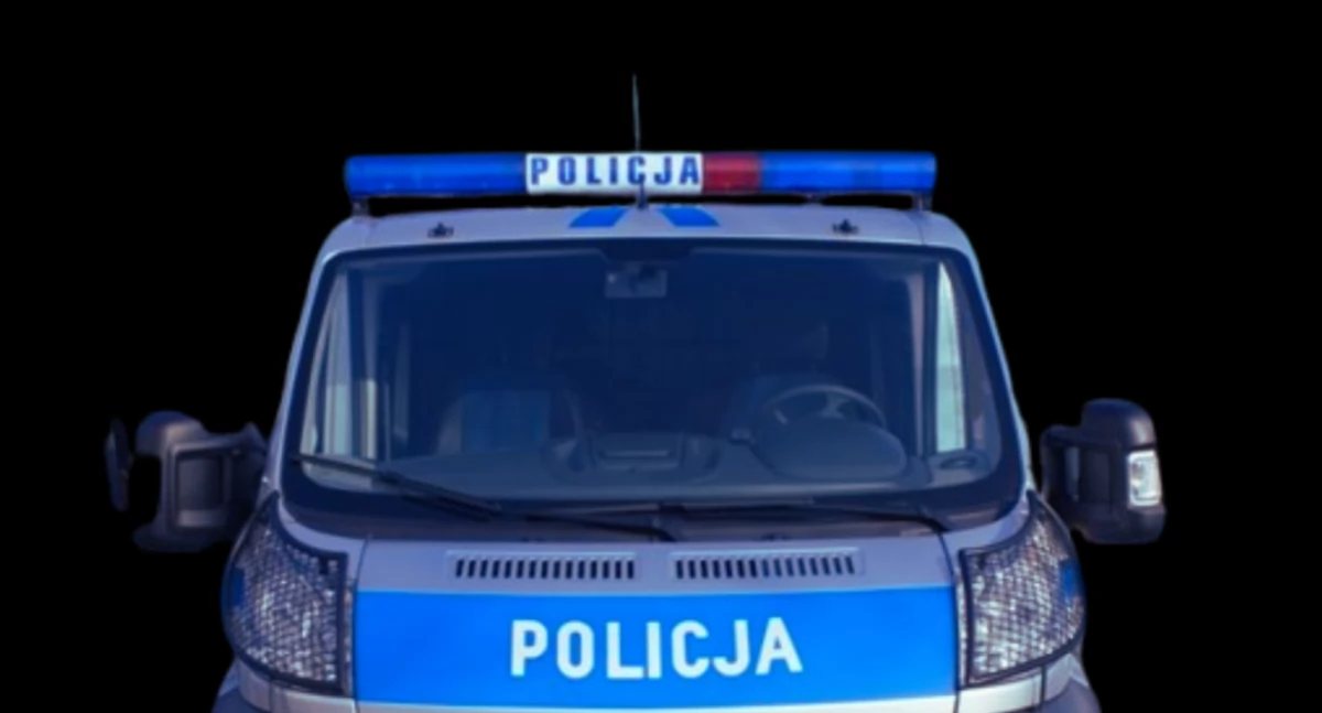 Okazja czyni złodzieja. Akcja na Woli