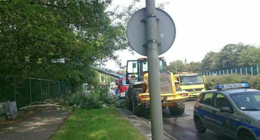 Wiele interwencji po porannej burzy