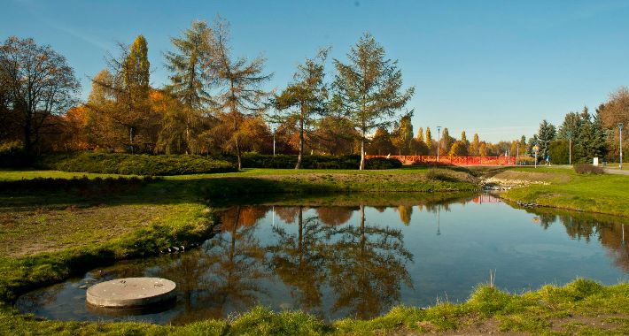 Park Szymańskiego na Woli jesienną porą [FOTO]