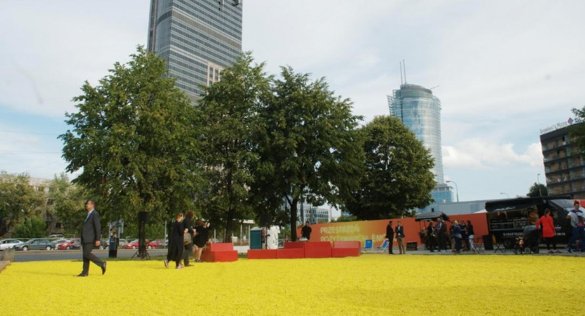 Plac CytryNowy już gotowy