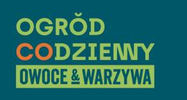 Ogród Codzienny przy Wola Parku. Zielona oaza wśród miejskiego zgiełku